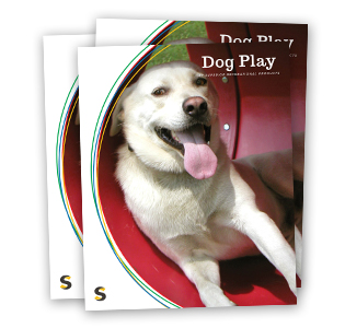 Dog Play catalog 